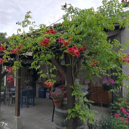 Le Coq En Pate Bed and Breakfast Romilly-sur-Seine Eksteriør billede